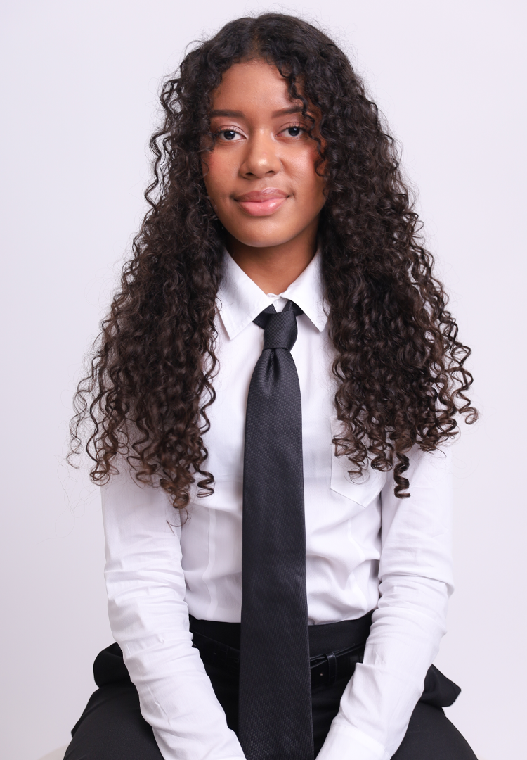 modelo aruba11